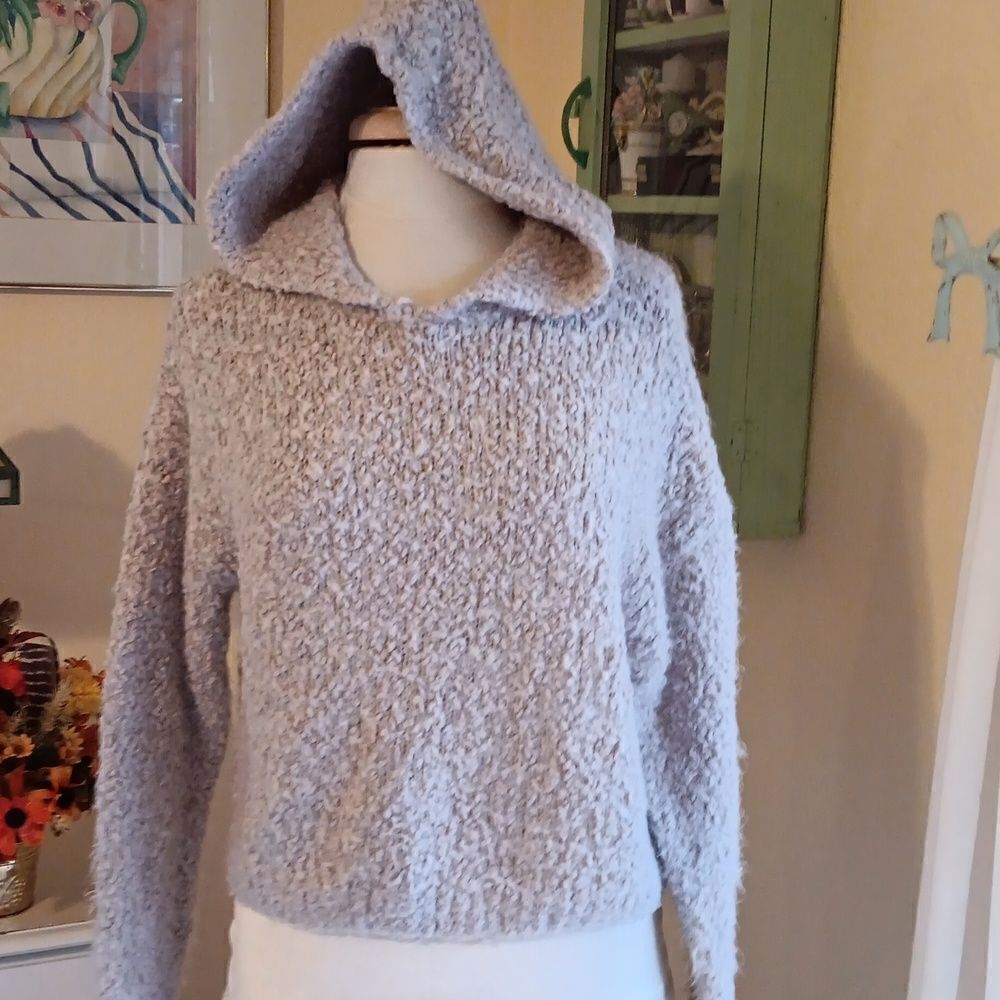 Lira Nubby Cropped Hooded Sweater